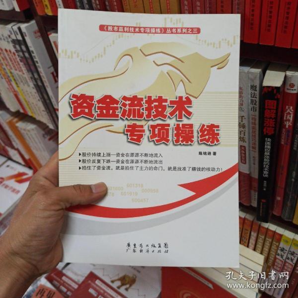 股市盈利技术专项操作丛书系列之三：资金流技术专项操练