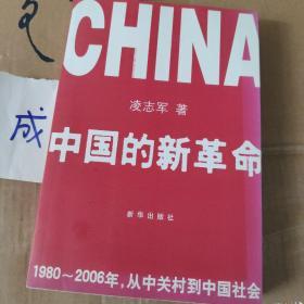 中国的新革命：1980-2006年，从中关村到中国社会