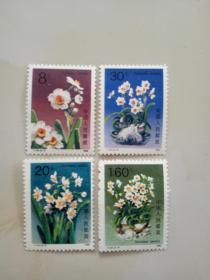 T147邮票 水仙花