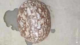 奇石；好看的石头石蛋一个12厘米*10厘米*10厘米重5.50市斤