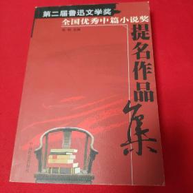 第二届鲁迅文学奖全国优秀中篇提名作品集