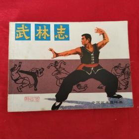 私藏 好品 绘画版连环画 小人书 经典 武林志 刘启瑞