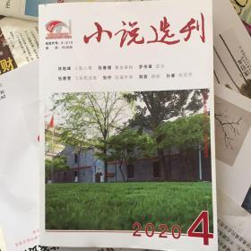 小说选刊杂志2020年第4期