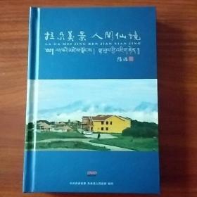 拉尕美景 人间仙境、我的家乡拉尕山、梦幻拉尕、拉尕山藏族民间歌舞、岷山闺秀拉尕山（五张DVD碟片）