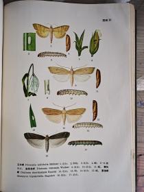 湖北省农作物主要病虫害及其防治；(64年一版一印·非馆藏·16开精装本·内带83页彩图）
