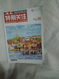 特别关注:2011。2