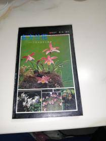 东方兰花——兰花的鉴赏与栽培（32开本，93年印刷，四川科学技术出版社）内页有很多插图。