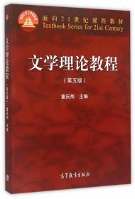 二手正版 文学理论教程 第五版 第5版 童庆炳 高等教育出版社