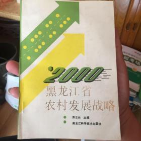 2000黑龙江省农村发展战略