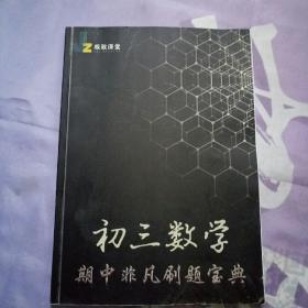 极致课堂   初三数学 期中非凡刷题宝典