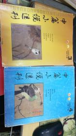 中篇小说选刊  大型文学双月刊   2009年第3-4期总168-169期两本合售