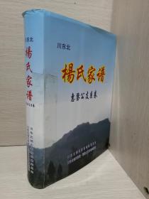 杨氏家谱惠鉴公支系卷【川东北】