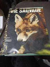 VIE SAUVAGE