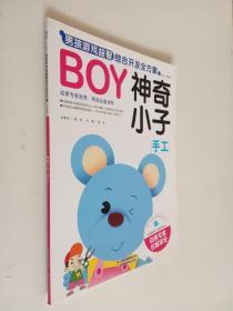 BOY男孩游戏益智综合开发全方案-神奇小子（手工）