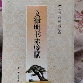 文徵明书赤壁赋