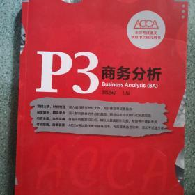 P3 商务分析