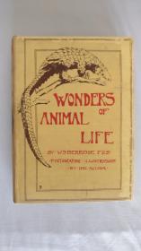 1919年 Wonders of Animal Life 《动物的奇妙生活》