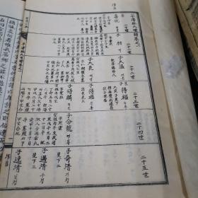 平澤林氏世谱  共6本