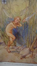 1910年 Charles Kingsley _The  Water-Babies 查理•金斯莱童话名著《水宝宝》给孩子的最珍贵礼物  彩色插图本 原书衣全 品佳