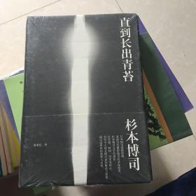 直到长出青苔