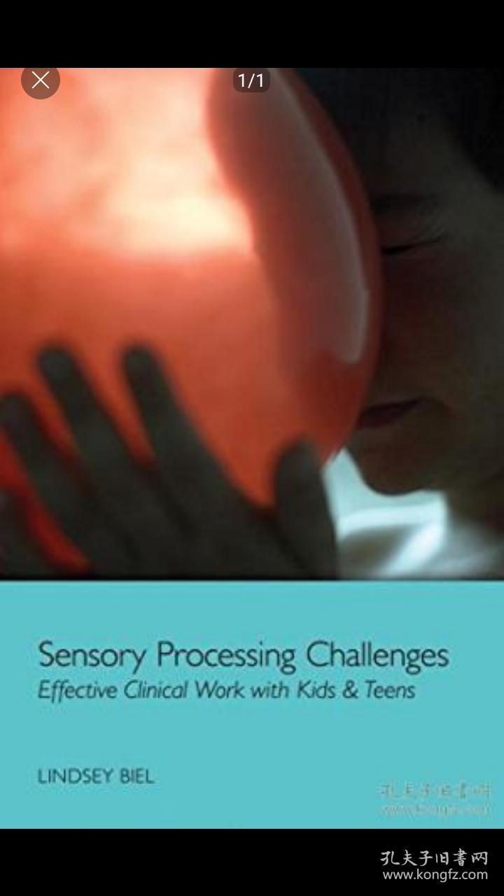 Sensory Processing Challenges: Effective Clinical Work With Kids & Teens (norton Professional Book)