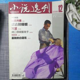 小说选刊 八本合售