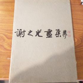 谢之光画集(8开精装本94年1印·印2000册)私藏品好