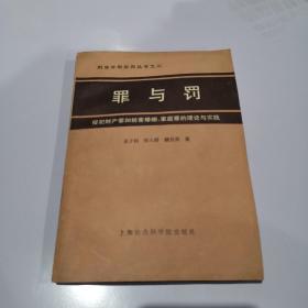 罪与罚—侵犯公民人身权利、民主权利罪的理论与实践