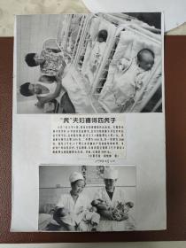 老照片：周惟刚 摄   安阳日报---1998年8月 “虎”夫妇喜得四虎子的新闻照片    黑白照片       共2张合售      黑白照片箱00034
