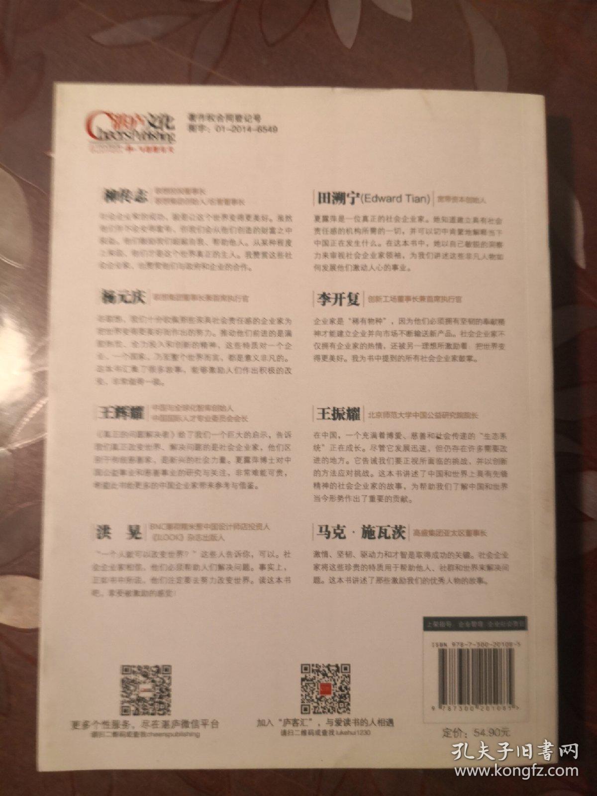 真正的问题解决者：社会企业如何用创新改变世界