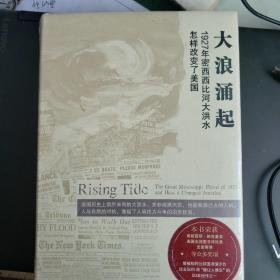 大浪涌起：1927年密西西比河大洪水怎样改变了美国