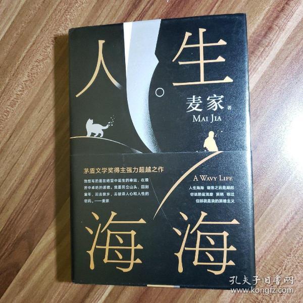 麦家：人生海海（茅盾文学奖得主麦家2019年强力之作）