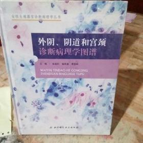 外阴、阴道和宫颈诊断病理学图谱，精装本