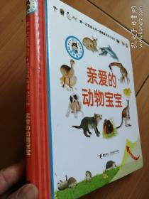 第一次发现丛书·透视眼系列小百科：亲爱的动物宝宝
