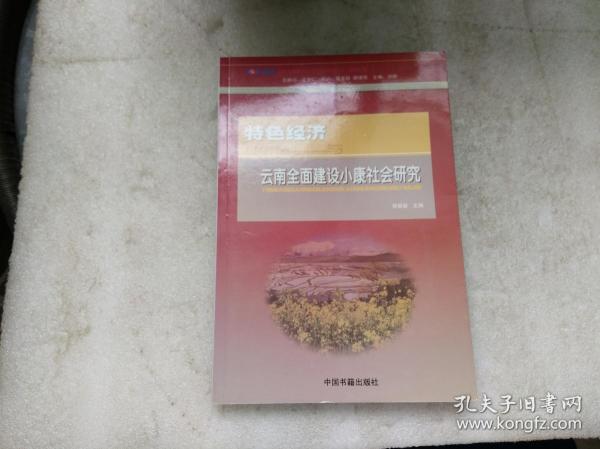 特色经济与云南全面建设小康社会研究