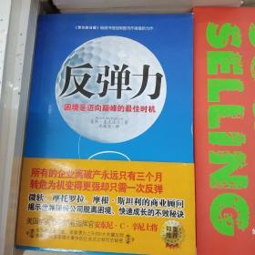 反弹力：困境是迈向巅峰的最佳时机