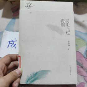 羽毛飞过青铜