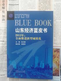 山东经济蓝皮书:2013年全面推进新型城镇化