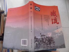 铁流.第33集