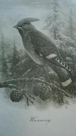 1900年Natural History of Selborne– 吉尔伯特•怀特《塞耳彭自然史》珍贵全插图初版本 2巨册全 天量精美版画插图  珍贵早期版本  增补精美彩图