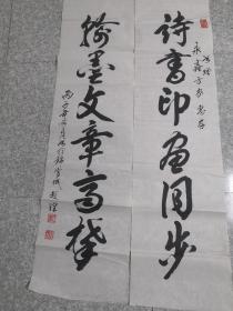 现代著名书法家赵理书法 35X133cm  对联镜片 保真