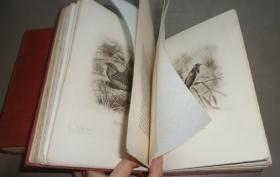 1900年Natural History of Selborne– 吉尔伯特•怀特《塞耳彭自然史》珍贵全插图初版本 2巨册全 天量精美版画插图  珍贵早期版本  增补精美彩图
