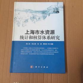 上海市水资源统计和核算体系研究