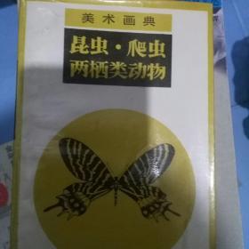 美术画典昆虫爬虫两栖类动物