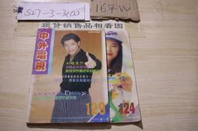 中外电视月刊 1995年第4.9期