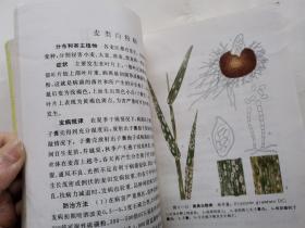 中国农作物病虫图谱(第二分册)麦类病虫.彩图.1972年1版1976年西安3印