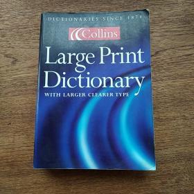 Large Print Dictionary