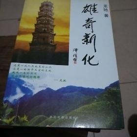 雄奇新化