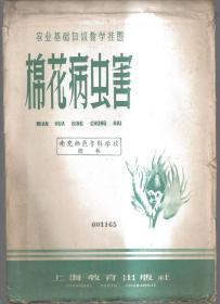 农业基础知识教学挂图---棉花病虫害（全套3幅彩图，附说明书）