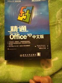 精通Microsoft Office XP中文版